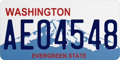WA license plate AEO4548
