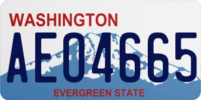 WA license plate AEO4665