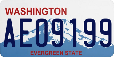 WA license plate AEO9199