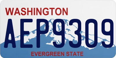 WA license plate AEP9309