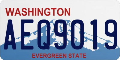 WA license plate AEQ9019