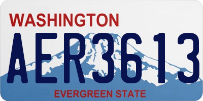 WA license plate AER3613