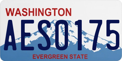 WA license plate AES0175