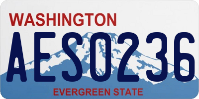 WA license plate AES0236