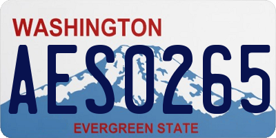 WA license plate AES0265