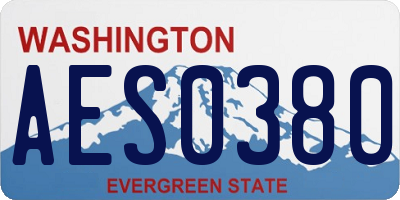WA license plate AES0380