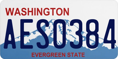 WA license plate AES0384