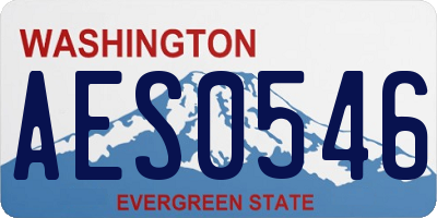 WA license plate AES0546