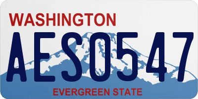 WA license plate AES0547