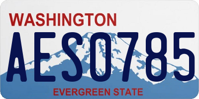 WA license plate AES0785