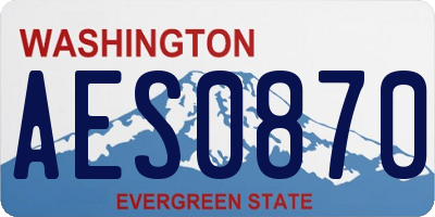 WA license plate AES0870