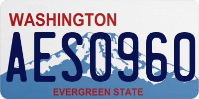 WA license plate AES0960