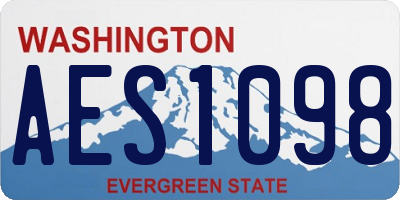 WA license plate AES1098