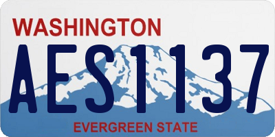 WA license plate AES1137