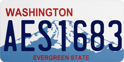 WA license plate AES1683