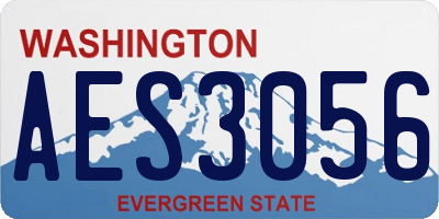 WA license plate AES3056