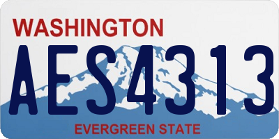 WA license plate AES4313