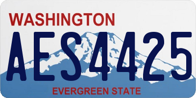 WA license plate AES4425