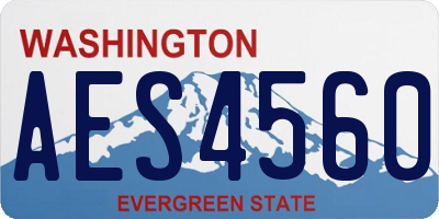 WA license plate AES4560