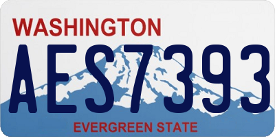 WA license plate AES7393