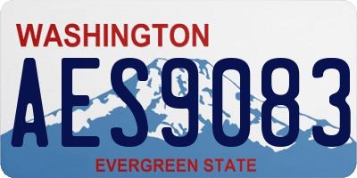 WA license plate AES9083