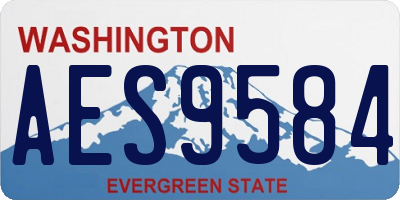 WA license plate AES9584