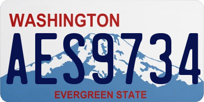 WA license plate AES9734