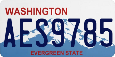 WA license plate AES9785