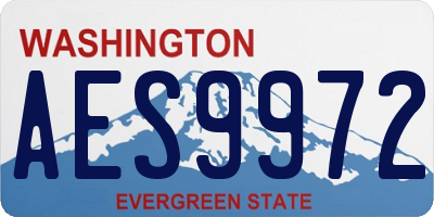 WA license plate AES9972