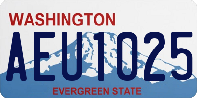 WA license plate AEU1025