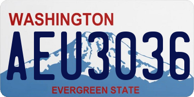 WA license plate AEU3036