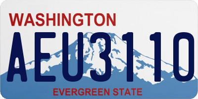 WA license plate AEU3110