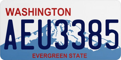 WA license plate AEU3385