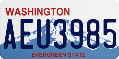 WA license plate AEU3985