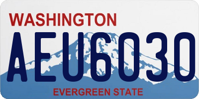 WA license plate AEU6030