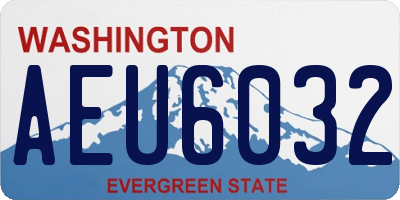 WA license plate AEU6032