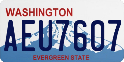WA license plate AEU7607