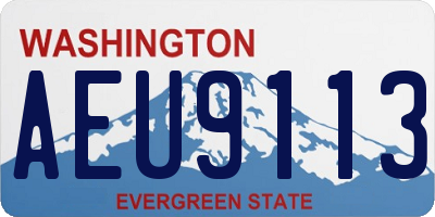 WA license plate AEU9113