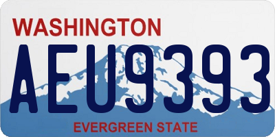 WA license plate AEU9393