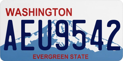 WA license plate AEU9542