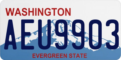 WA license plate AEU9903