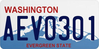 WA license plate AEV0301