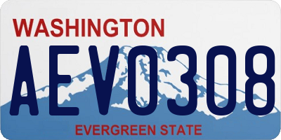 WA license plate AEV0308