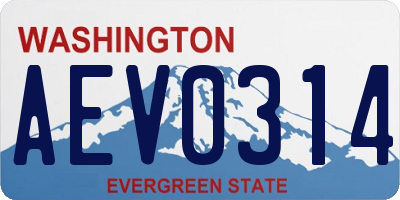 WA license plate AEV0314