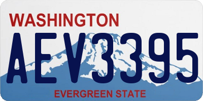 WA license plate AEV3395