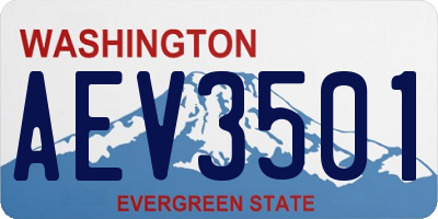 WA license plate AEV3501
