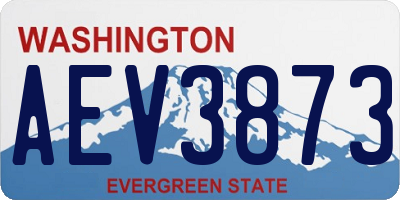 WA license plate AEV3873