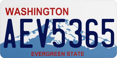 WA license plate AEV5365