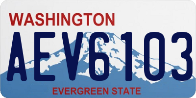 WA license plate AEV6103