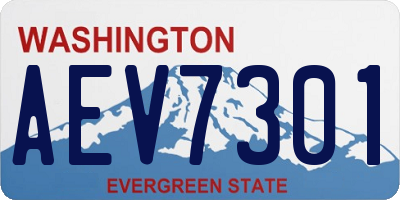 WA license plate AEV7301
